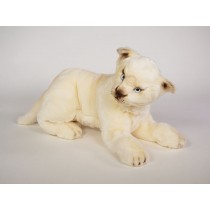 White Lion Cub 2539 by Piutrè 