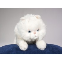 White Persian Cat 0310 by Piutrè 