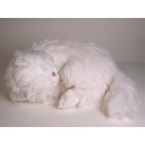 White Persian Cat 0313 by Piutrè