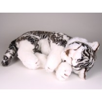 White Siberian Tiger Cub 2526 by Piutrè 