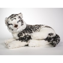 White Siberian Tiger Cub 2531 by Piutrè 