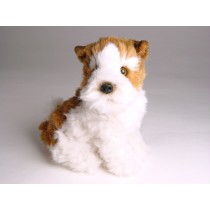 Wire Fox Terrier Puppy 1300 by Piutrè