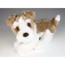Wire Fox Terrier Puppy 3278 by Piutrè 