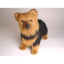 Yorkshire Terrier 3297 by Piutrè 