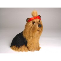 Yorkshire Terrier Puppy 1301 by Piutrè