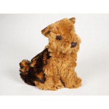 Airedale Terrier Puppy 1316 by Piutrè