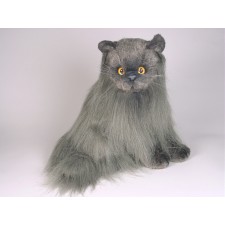 Angora Cat 2334 by Piutrè