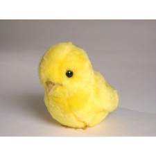 Baby Chick 0704 by Piutrè