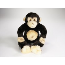 ​Baby Orangutan 2648 by Piutrè