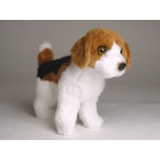 Beagle (Miniature) 4284 by Piutrè 
