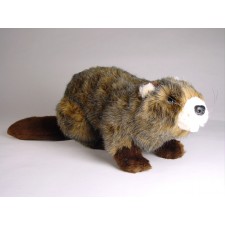 Beaver 2659 by Piutrè 