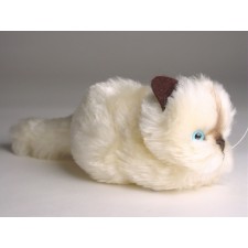 Beige Kitten 2326 by Piutrè 