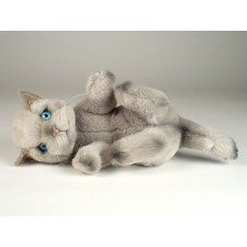 Beige Kitten 2445