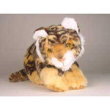 Bengal Tiger Cub 0402 by Piutrè