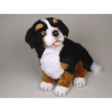 Bernese Mountain Dog Puppy 1264 by Piutrè
