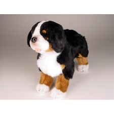 Bernese Mountain Dog Puppy 3326 by Piutrè 