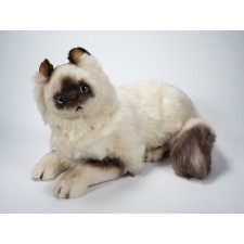 Birman Cat 2312 by Piutrè 