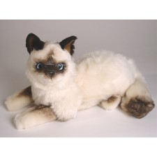 Birman Kitten 2314 by Piutrè 