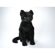 Black Cat 0325 by Piutrè