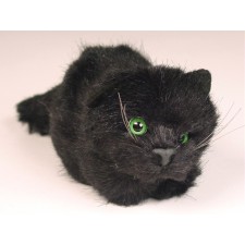 Black Kitten 2451 by Piutrè 