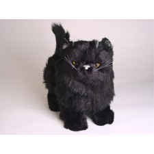 Black Persian Kitten 2398 by Piutrè 