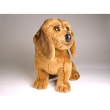 Bloodhound Puppy 3219 by Piutrè 