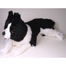 Border Collie 1216 by Piutrè