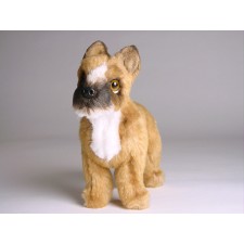 Boxer (Miniature) 4251 by Piutrè 