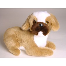 Boxer Puppy (Mascot) 4207 by Piutrè 