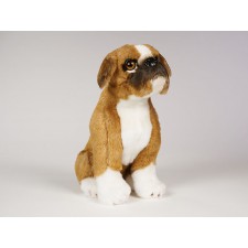 Boxer Puppy 2281 by Piutrè