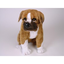 Boxer Puppy 2284 by Piutrè