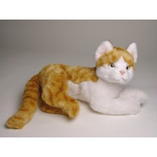British Shorthair Cat 2340 by Piutrè