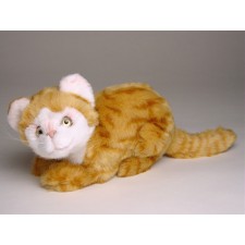 British Shorthair Kitten 2341 by Piutrè