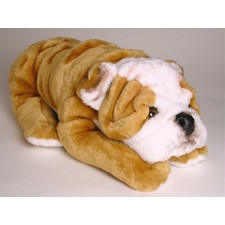 Bulldog Puppy 3287 by Piutrè 