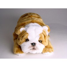 Bulldog Puppy 3288 by Piutrè 
