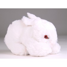 Bunny 0705 by Piutrè