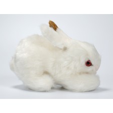 Bunny 0707 by Piutrè