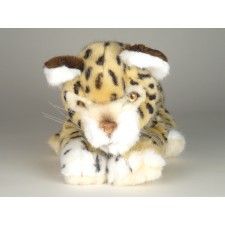 Cheetah Cub 0405 by Piutrè