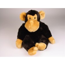 Chimpanzee (Morbidone) 2631 by Piutrè