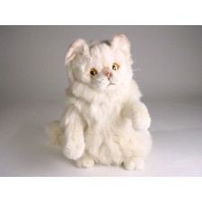 Chinchilla Golden Persian Kitten 2309 by Piutrè 