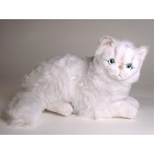 Chinchilla Silver Persian Kitten 2303 by Piutrè