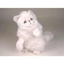 Chinchilla Silver Persian Kitten 2304 by Piutrè 