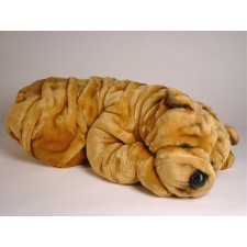 Chinese Shar-Pei 2274 by Piutrè
