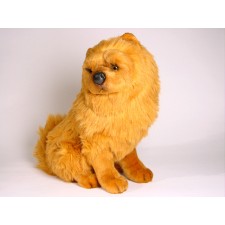 Chow Chow 3249 by Piutrè 