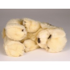 Cocker Spaniel Puppy 3209 by Piutrè 