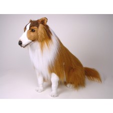 Collie 1273 by Piutrè