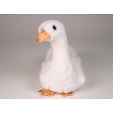 Cygnet 0732 by Piutrè