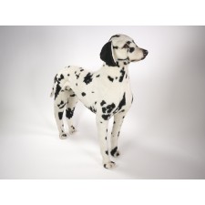 Dalmatian 3240 by Piutrè 