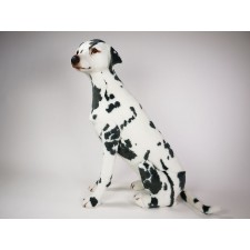 Dalmatian 3241 by Piutrè 