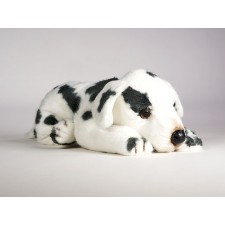 Dalmatian Puppy 3244 by Piutrè 